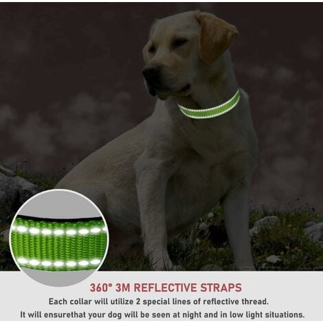 Collare per cani riflettente con chiusura regolabile in nylon di sicurezza per cani di taglia piccola e media, 1 pezzo (verde erba, grande) S1.5x40 cm 24 g)