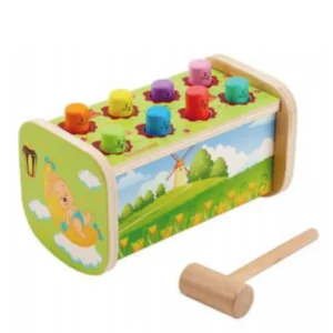 Gioco educativo in legno Montessori (modello D)